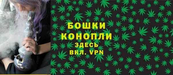 дживик Магас