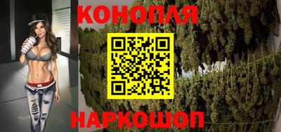 сатива Краснодар