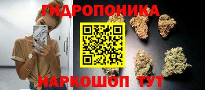 сатива Краснодар