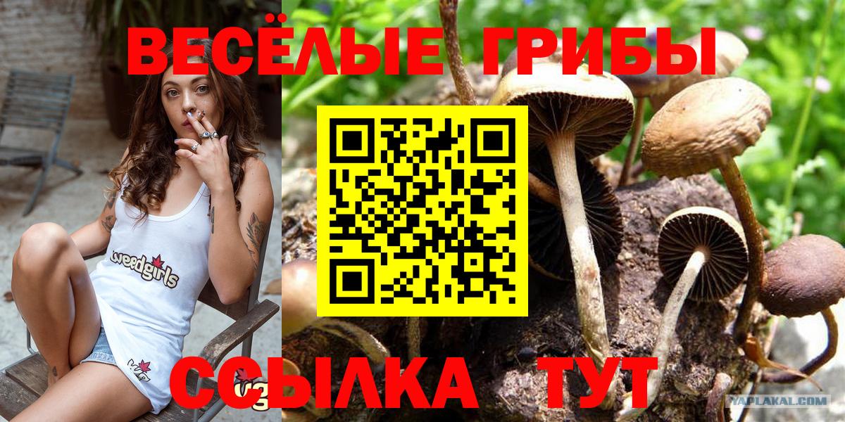 Псилоцибиновые грибы мухоморы  Вход с VPN  Чернушка 