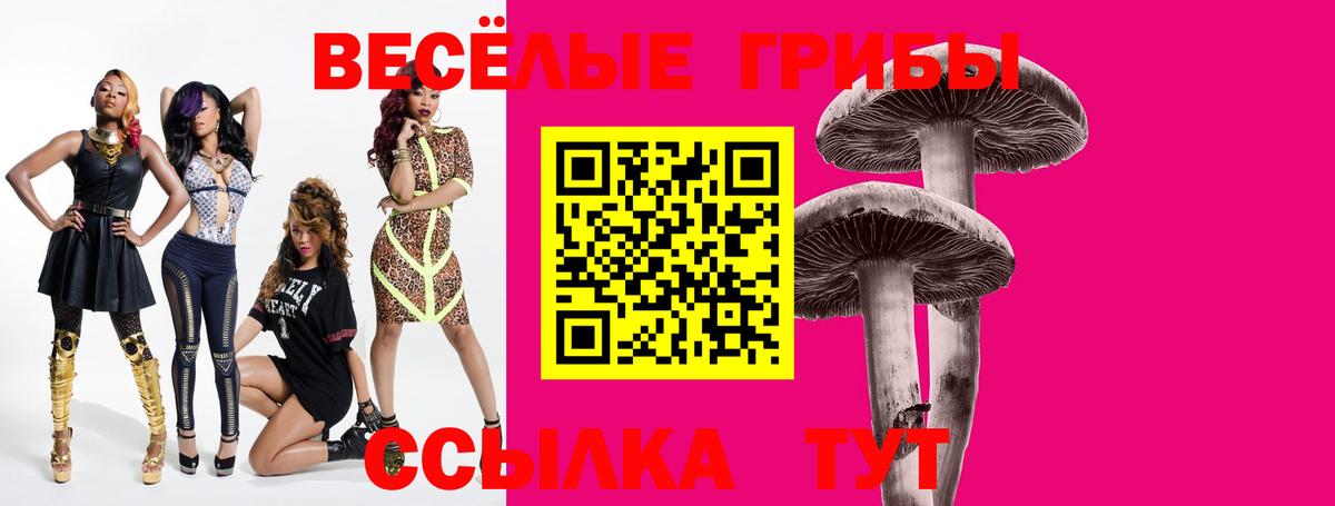 Псилоцибиновые грибы прущие грибы Чернушка